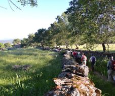Valle de Sangusín: Sanchotello - La Calzada de Béjar - 14 mayo 2019
